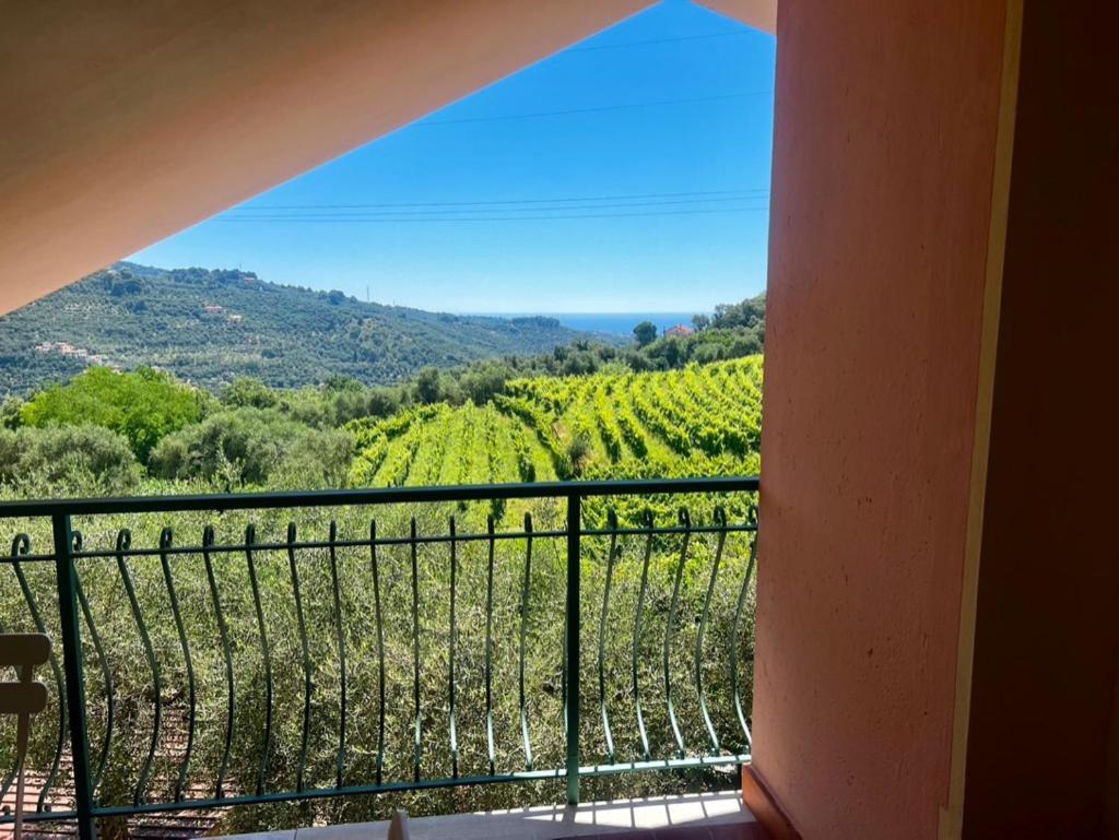 Agriturismo Ada Musso Diano Borello Exterior foto