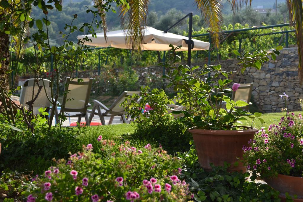 Agriturismo Ada Musso Diano Borello Exterior foto