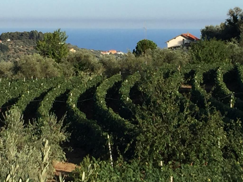 Agriturismo Ada Musso Diano Borello Exterior foto