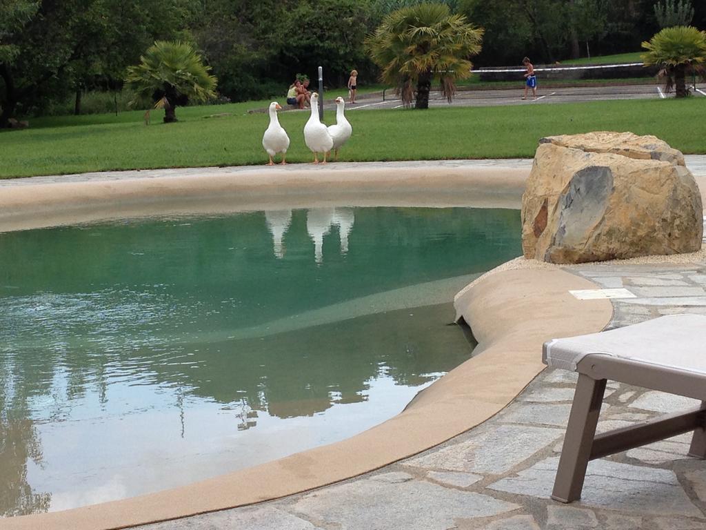 Agriturismo Ada Musso Diano Borello Exterior foto